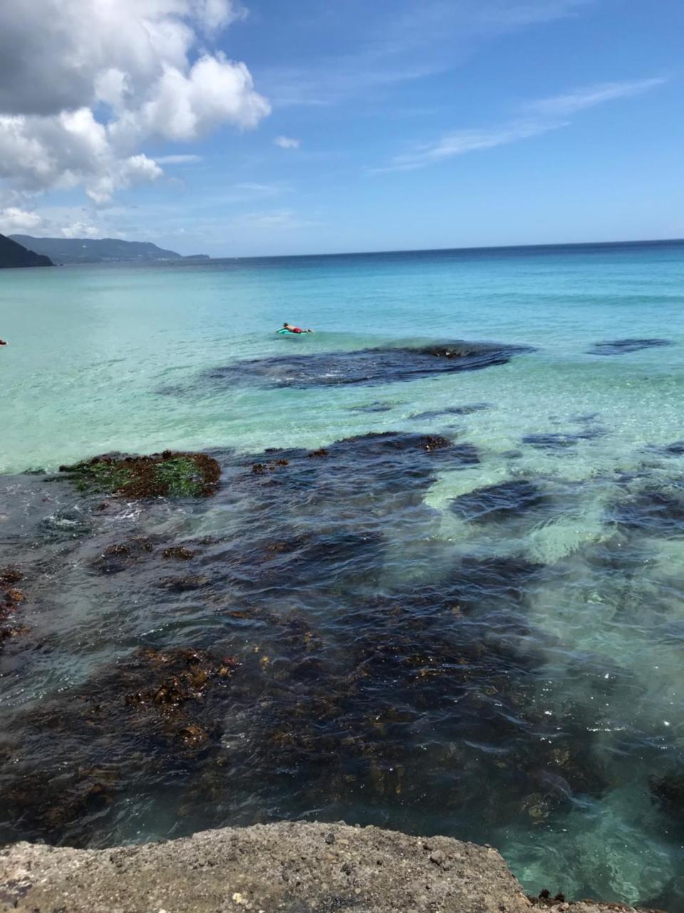 下田 百万玫瑰旅馆酒店 外观 照片